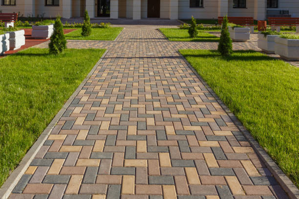 Best Driveway Paving Contractor  in Brownstown, PA